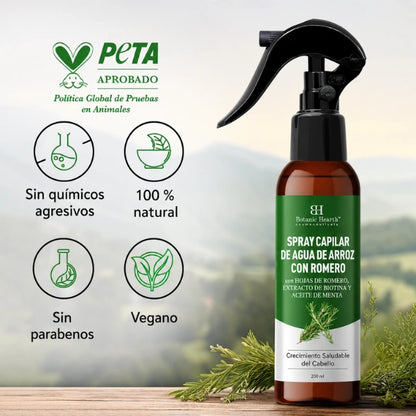 Tonico de romero y agua de arroz para el crecimiento del cabello